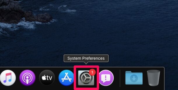 Come personalizzare il Dock su Mac