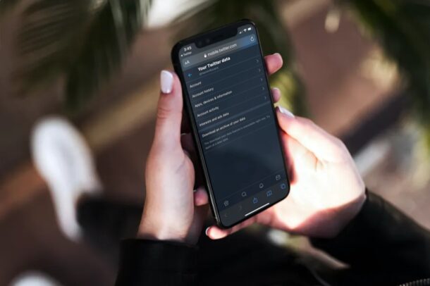 Come scaricare una copia dei dati di Twitter