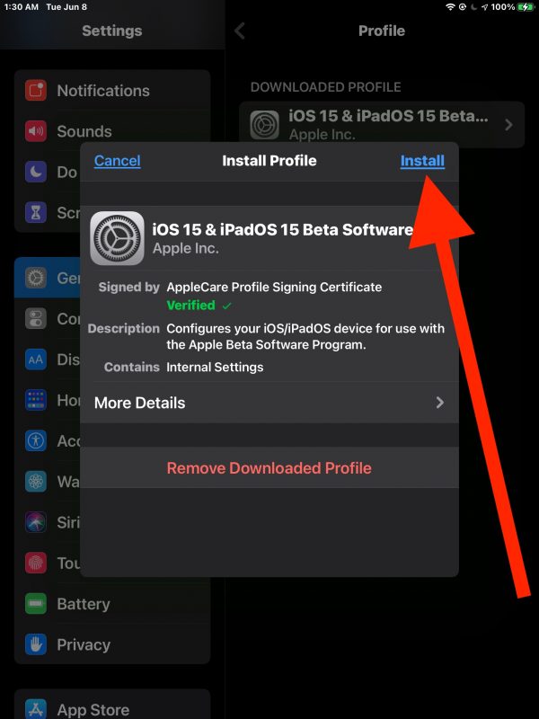 Installa il profilo beta di ipadOS 15