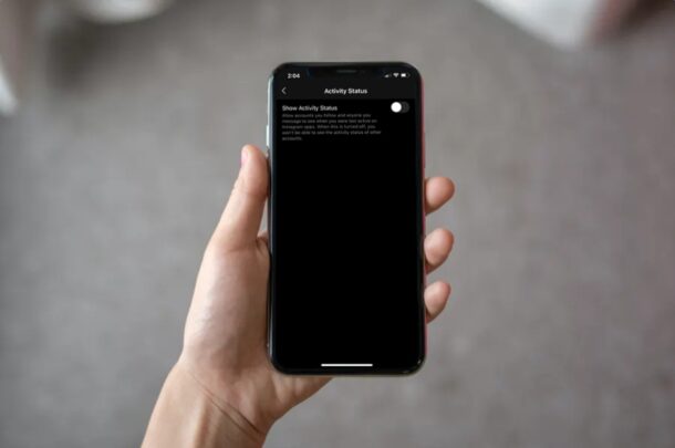 Come nascondere lo stato dell'attività su Instagram
