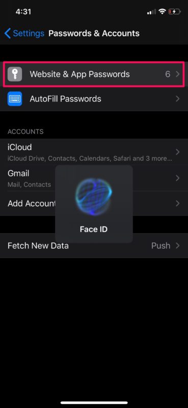 Come modificare le informazioni di riempimento automatico su iPhone e iPad