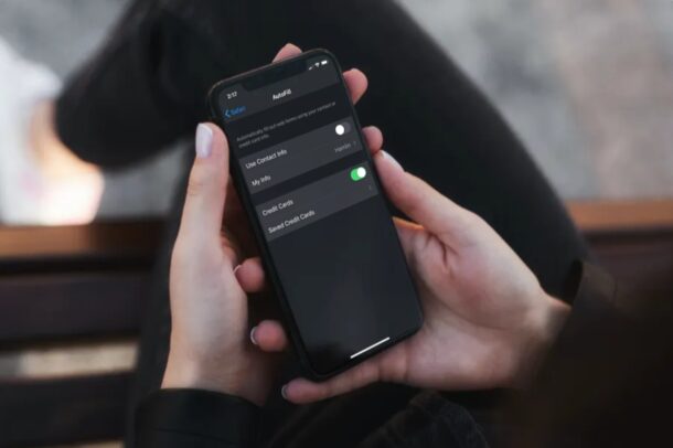 Come modificare le informazioni di riempimento automatico su iPhone e iPad