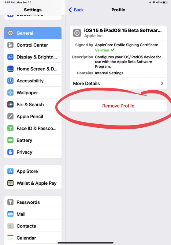 Rimozione del profilo beta di iOS 15 / ipadOS 15