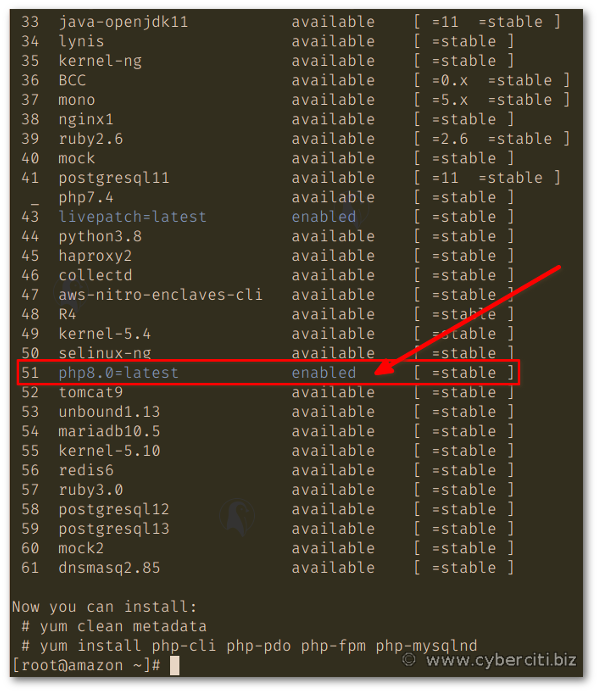 Abilitazione di PHP 8.0 sul comando Amazon Linux 2