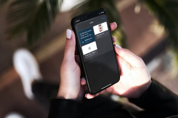 Come visualizzare tutti i collegamenti condivisi nei messaggi su iPhone e iPad