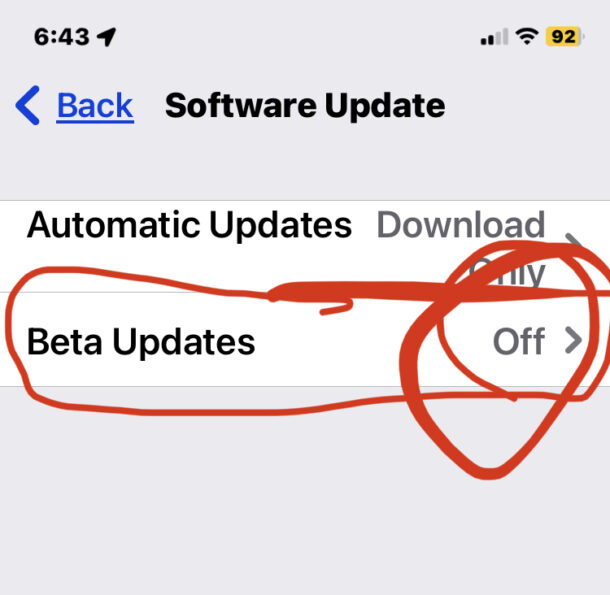 Come rimuovere la versione beta di iOS 17