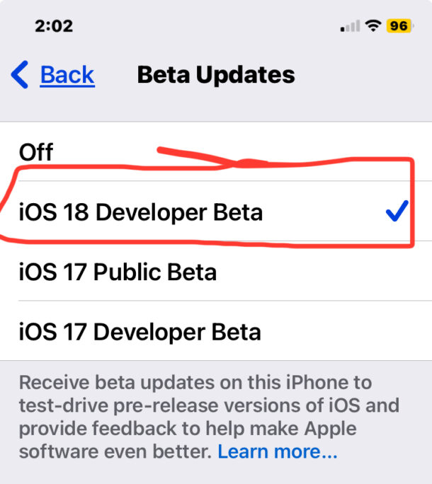 Seleziona la versione beta di iOS 18