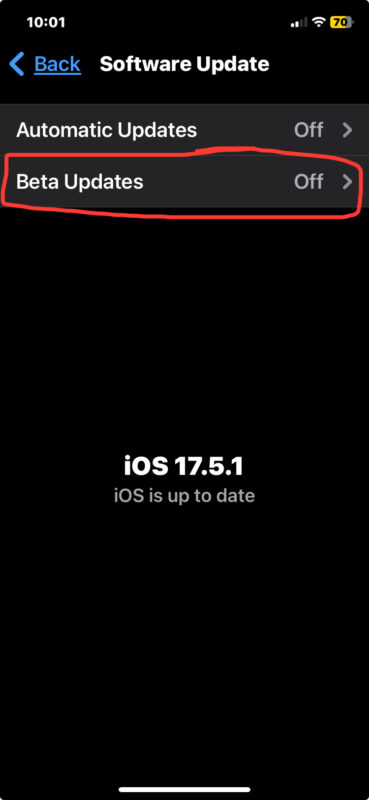 Seleziona Aggiornamenti beta per trovare la versione beta di iOS 18 disponibile