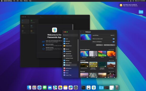 La versione beta per sviluppatori di MacOS Sequoia è stata installata e funzionante correttamente